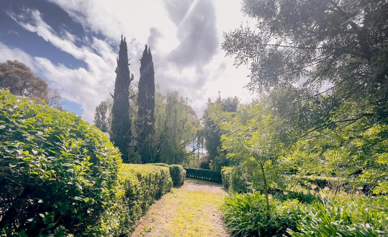 Sanctuary Park Cottages Healesville Εξωτερικό φωτογραφία