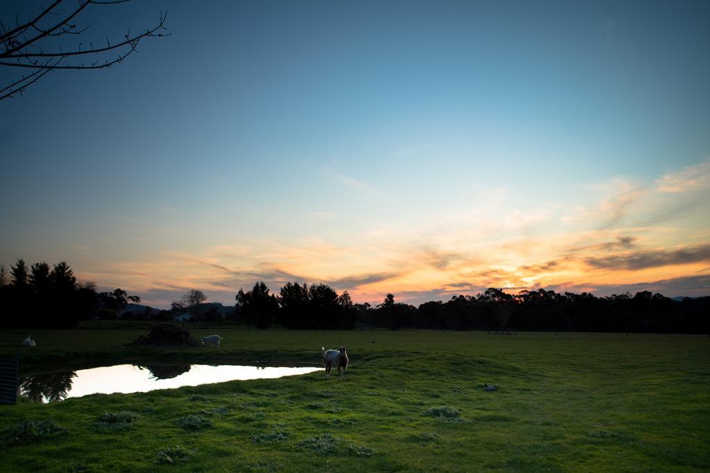 Sanctuary Park Cottages Healesville Εξωτερικό φωτογραφία