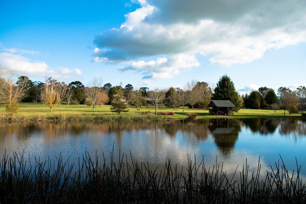 Sanctuary Park Cottages Healesville Εξωτερικό φωτογραφία