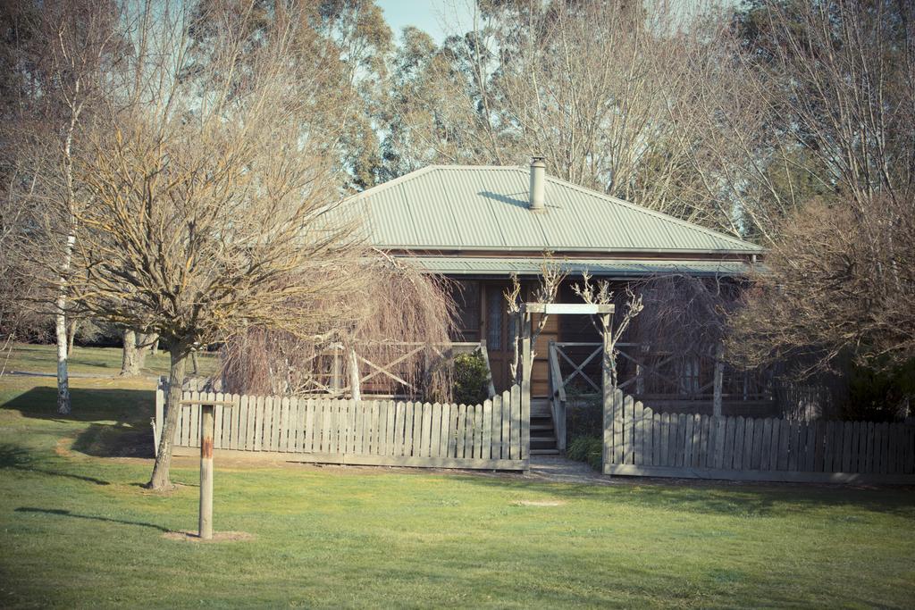 Sanctuary Park Cottages Healesville Εξωτερικό φωτογραφία