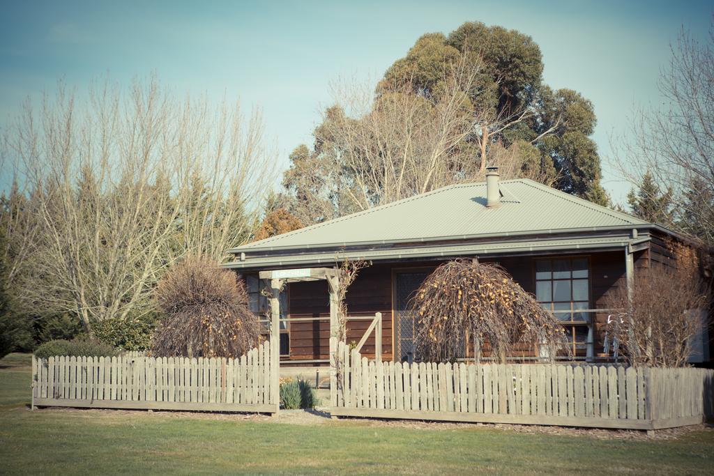 Sanctuary Park Cottages Healesville Εξωτερικό φωτογραφία