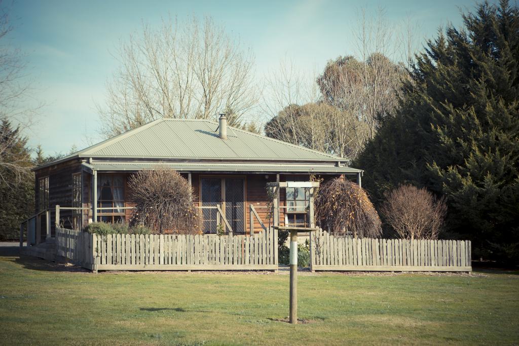 Sanctuary Park Cottages Healesville Δωμάτιο φωτογραφία