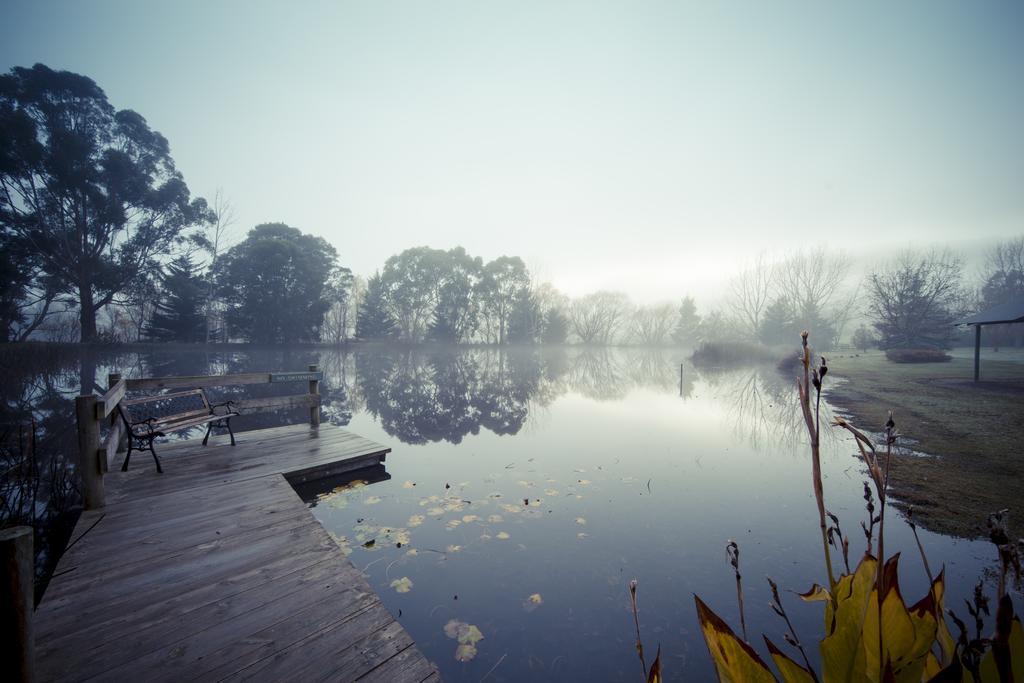 Sanctuary Park Cottages Healesville Εξωτερικό φωτογραφία