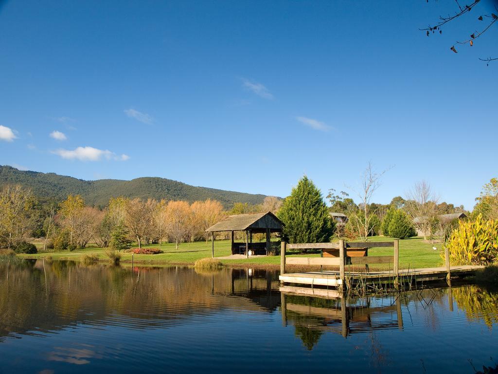 Sanctuary Park Cottages Healesville Εξωτερικό φωτογραφία