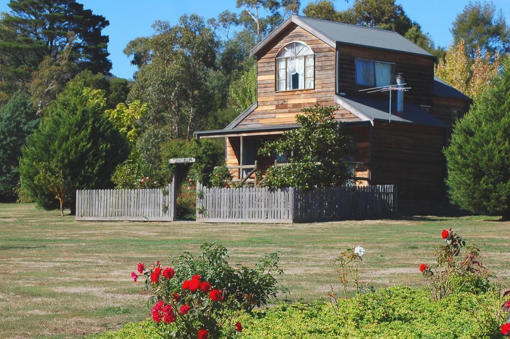 Sanctuary Park Cottages Healesville Δωμάτιο φωτογραφία