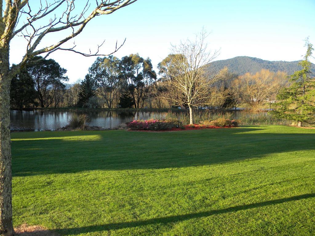 Sanctuary Park Cottages Healesville Εξωτερικό φωτογραφία